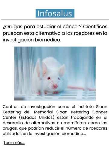 ¿Orugas para estudiar el cáncer Científicos prueban esta alternativa a los roedores en la investigación biomédica.