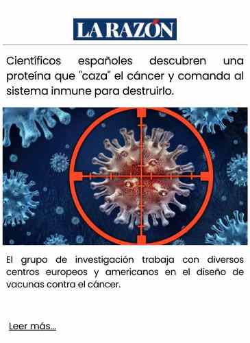 Científicos españoles descubren una proteína que caza el cáncer y comanda al sistema inmune para destruirlo.