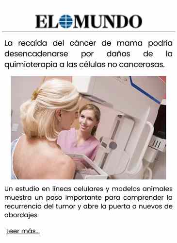La recaída del cáncer de mama podría desencadenarse por daños de la quimioterapia a las células no cancerosas.